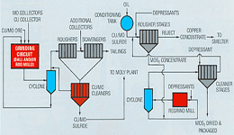 Ore-beneficiation-flow-plant